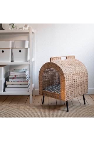 Utsadd Kedi Evi, Rattan