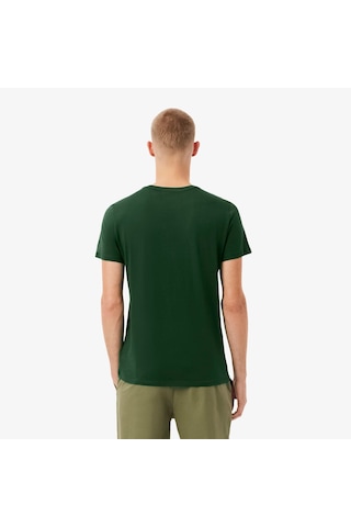 Erkek Regular Fit Bisiklet Yaka T-shirt Lacoste Yeşil