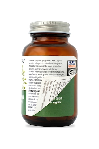 Sepe Natural Ginkgo Biloba Mabet Ağacı Ekstresi Full Potency 90 Kapsül x 400 MG