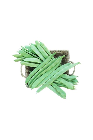 May Sofia Sırık Fasulye Tohumu 500 Gr