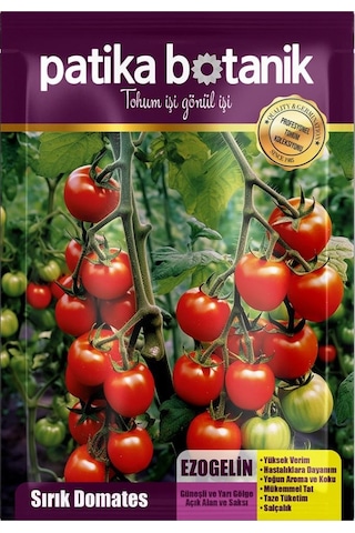 10 Adet Ezogelin Kiraz/cherry Domates Tohumu-sırık