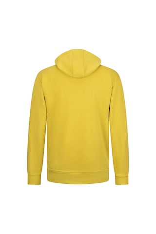 Hatemoğlu Sarı Regular Fit Fermuarlı Kapüşonlu Sweatshirt SAFRAN