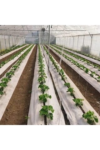 1,5x10 M Beyaz Sulzer Kumaş Sera Taban Örtüsü Jüt Blueberry Peyzaj Uygulama Örtüsü Mulch Naylonu Çilek Malç