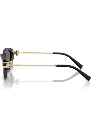 Tıffany 4231u 800181 53-17 Kadın Güneş Gözlüğü