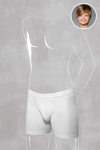 Doreanse Erkek Çocuk Beyaz Modal Normal Paça Boxer 550 (389429042)