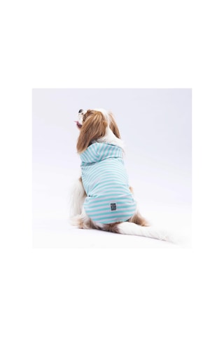 Pawstar Aqua Sunny Kapşonlu Kedi Köpek Tişörtü Kedi Köpek Kıyafeti