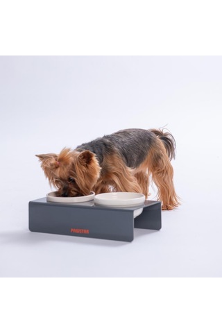 Antrasit İkili Seramik-pleksi Mama Ve Su Kabı-kedi Köpek Mama Su Kabı