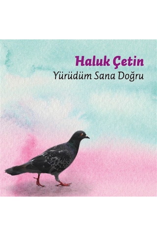 Haluk Çetin - Yürüdüm Sana Doğru CD
