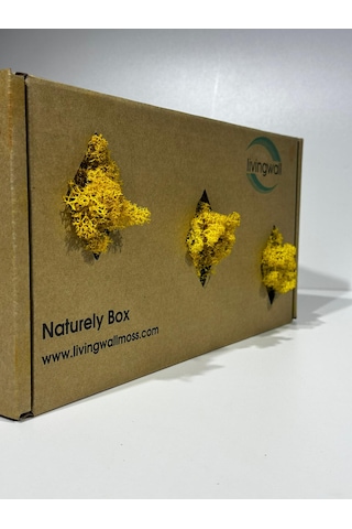 Reindermoss Şoklanmış Norveç Yosunu Terarium Yosunu Sarı 500 Gr.