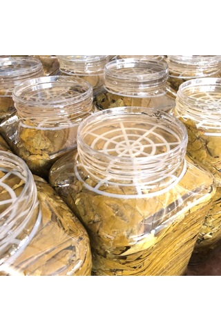 Sarıbahçe Tokat Yaprağı 5 Kg - Yeni Sezon Erbaa Yaprağı