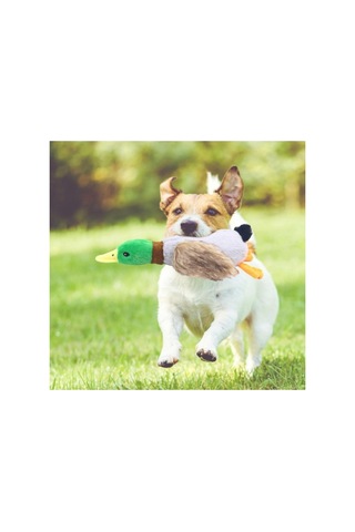 3 Adet Sesli Ördek Peluş Köpek Oyuncağı Dayanıklı Yumuşak