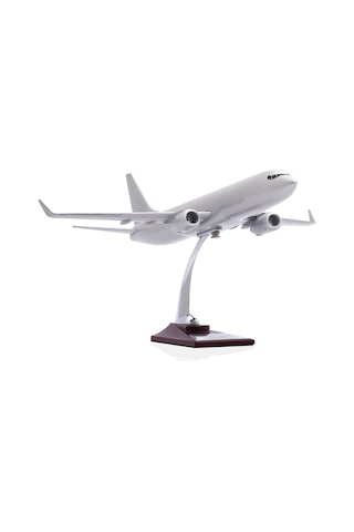 Zekupp - Maket Uçak - Boeing 737-800 1/100 - GÜMÜŞ RENK ÖZEL TASARIM Model Uçak