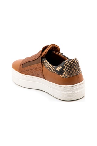 Dexter Ep143073-5 Kadın Sneaker Çok Renkli