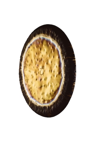 Meinl Sonic Energy G36hc4 36'' Kalp Çakrası Gong 136,10 Hz / C2