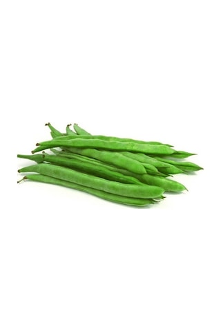 Cino Oturak Fasülye Tohumu 1 KG 2500+ Adet Sıla Gina Fasulye