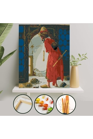 Sayılarla Boyama Tuval Seti 40X50 Cm - Kaplumbağa Terbiyecisi