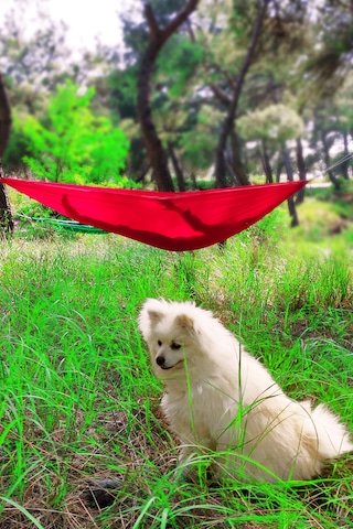 Bundera Kamp Hamağı Piknik Hamağı Bahçe Balkon Outdoor