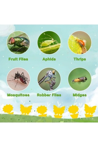 Pazly 20'li Sarı Yapışkan Böcek Tuzağı - Meyve & Mantar Sineklerine Karşı, Uv Dayanıklı, Su Geçirmez, Ev & Bahçe Kullanımı