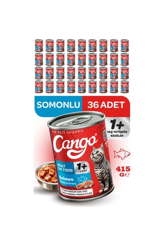 Cango Yetişkin Yaş Kedi Maması Somonlu 415gr 36lı