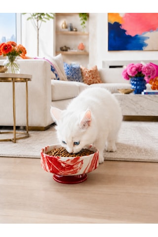 Mama Kabı Kedi Ve Köpek 1 Adet Doğal Mama Veya Su Kabı Kırmızı Marble