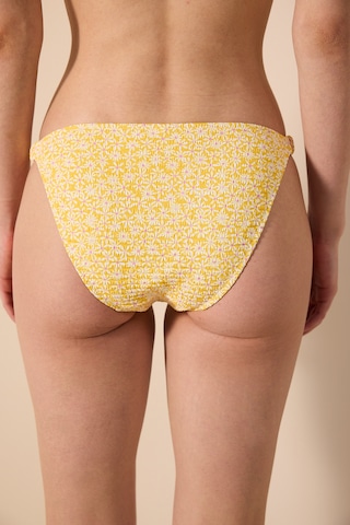 Penti Lenora Side Dokulu Çok Renkli Bikini Altı Plp2to1724ıy-mıx