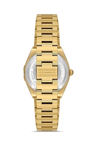 Ferro Quartz Çelik Altın Rengi 32 Mm Kelebek Kilitli Kadın Kol Saati Altın