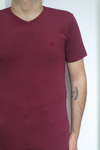 Santa Dmctekstil Erkek Düz Spor Kesim Dar Kalıp V-yaka T-shirt Bordo