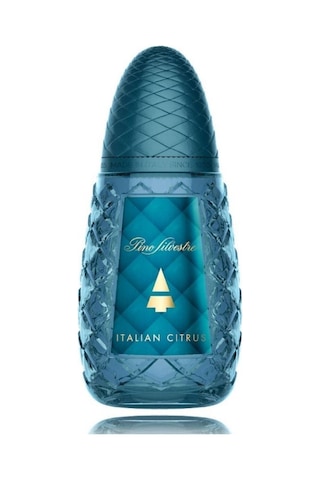 Pino Silvestre Italian Citrus Erkek Parfüm EDT 125 ML