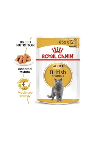 Royal Canin British Shorthair Konserve 85 Gr X 12 Adet