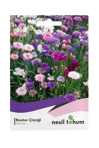 Kontur Çiçeği Tohumu 50'li
