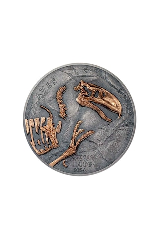 Agakulche Nimravidae Evrimi 2024 1 Ons Gümüş Sikke Coin