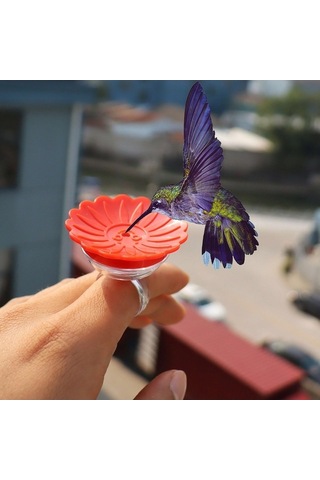 Ulzyvf Lebihmurah 4995 Kuş Halkası Besleyici Çevre Dostu Yaratıcı Tasarım Sinek Kuşu El Besleyici, Küçük Boy