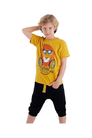 Denokids Mshb&g Arslan Erkek Çocuk T-shirt Kapri Şort Takım Çok Renkli