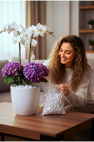 5 Kg Doğal Beyaz Dolomit Taşı 2-4 Cm Saksı Üstü Dekoratif Taş, Sukulent & Kaktüs Taşı