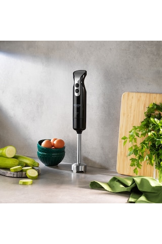 Schafer Meister 1000 W Çubuk Blender