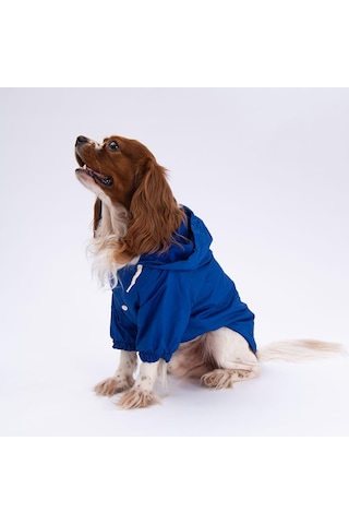 Mavi Mont Köpek Mont Köpek Kıyafeti Köpek Yağmurluğu Küçük-büyük Irklar