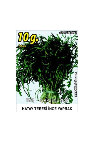 Tere Tohumu İnce Tel 10 G