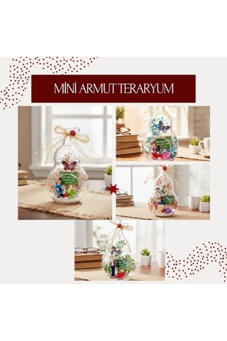 Premium Kuru Çiçekli Hatıralık Sınıf Süsü Mini Armut Teraryum - Öğretmenler Günü Hediyesi