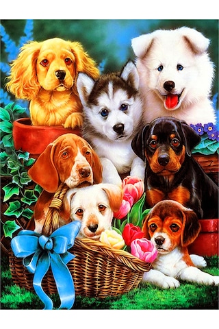 Shineyee 30x40cm Zs314 Tam Taşlı Kristal Dekoratif Tablo - Dıy Boyama Seti Ve Araçlar Dahil Siyah