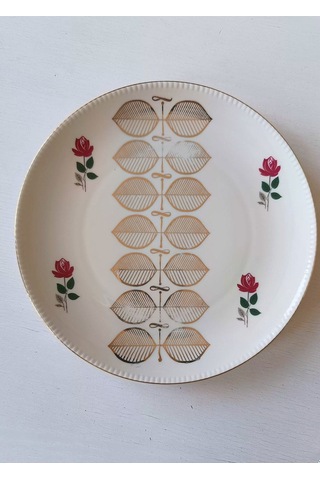 Nurantik Winterling Röslau Alman Pasta Tabağı Renkli