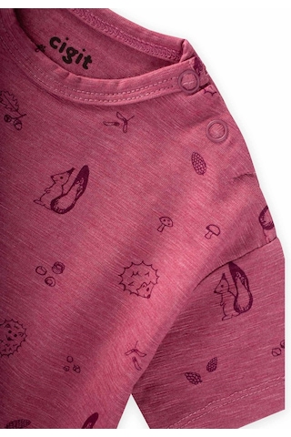 Taytlı T-shirt Takım 0-3 Yaş Mürdüm Mürdüm