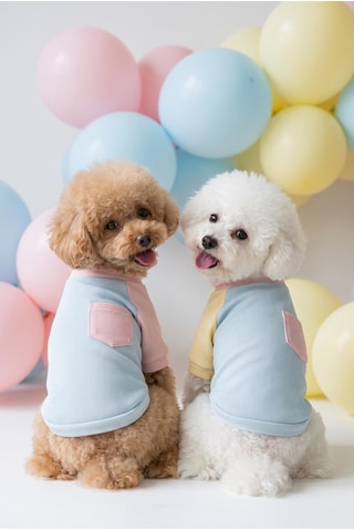 Bubbles Pastel Köpek Tişörtü Cepli Şeker Renkli Yazlık Köpek Kıyafeti Küçük Irklar İçin