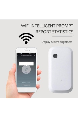 Pazly Uygulama Suntek Sensörü Mekan Kontrolü Işık İç Akıllı My