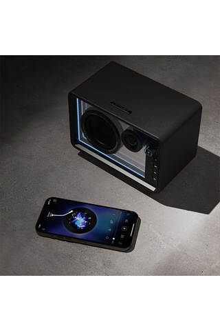 Lenyes S862 Su Geçirmez Mikrofonlu Çoklu Giriş Karaoke Bluetooth Hoparlör V5.3 120w Siyah Siyah