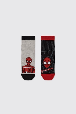 Panço Erkek Çocuk Spider-man Çorap 2612bk11013 Renkli