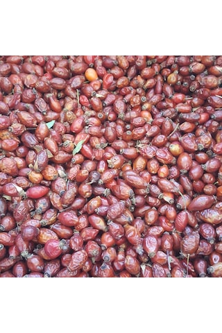 Kayısıcenter Toptan Kuşburnu Kurusu 10 KG