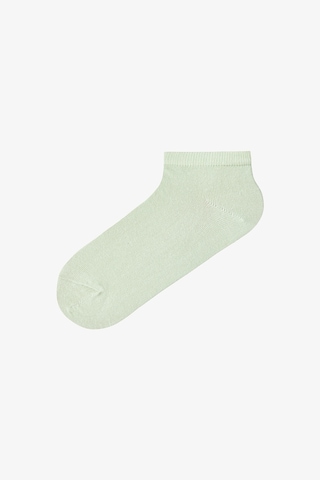 Penti Renklied Thin Stripes 5'li Patik Çorap