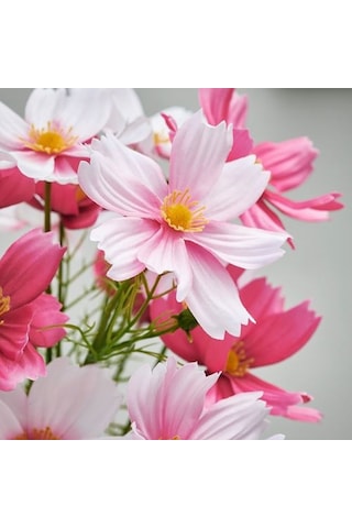 Ikea Smycka Yapay Buket, Pembe, 50 Cm, İç/dış Mekan Cosmos