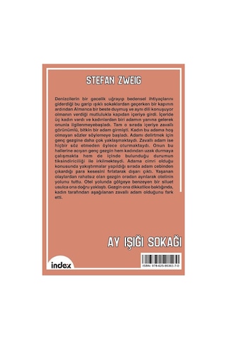 Ay Işığı Sokağı Yeni Çeviri / Stefan Zweig