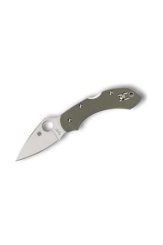 Spyderco Dragonfly Foliage Green G-10 Plainedge Kamp Çakı Yeşil